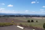 View from Ann Amie Winery (116kb)